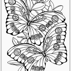 Schmetterlinge Ausmalbilder fir erwachsene 4