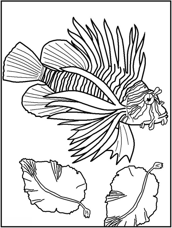 Fische Ausmalbilder zum Ausdrucken 19